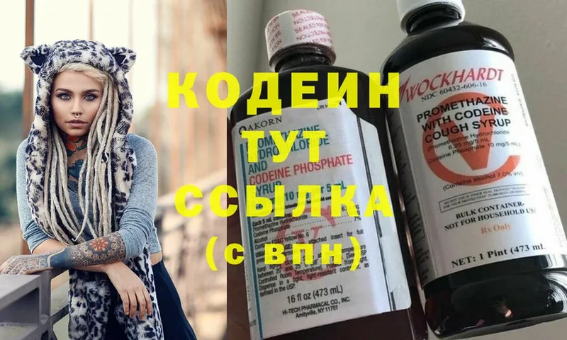 Кодеиновый сироп Lean Purple Drank  МЕГА как зайти  Петропавловск-Камчатский  магазин продажи  